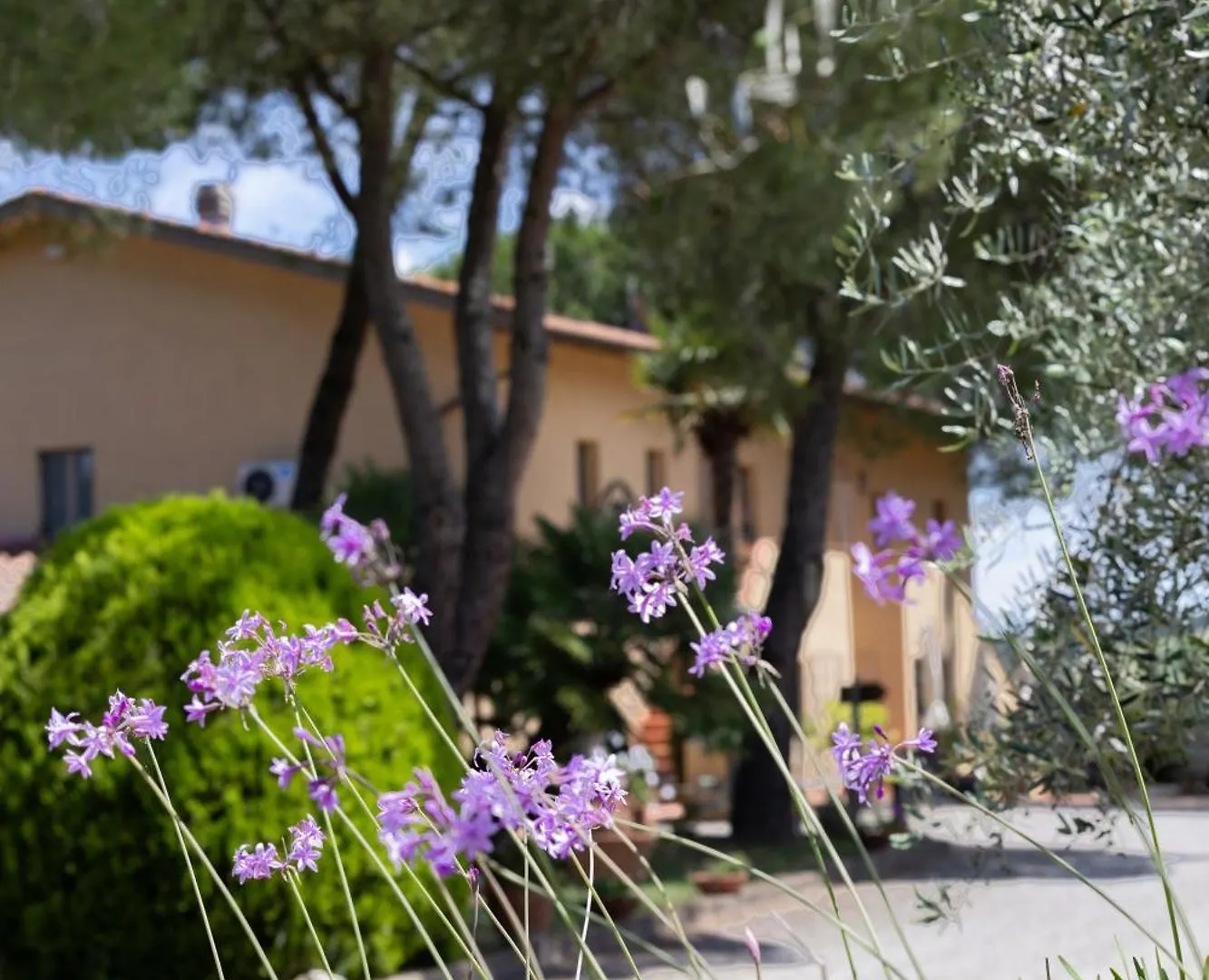 Agriturismo I Girasoli di Lari - Bilocale La Margherita Rivoli