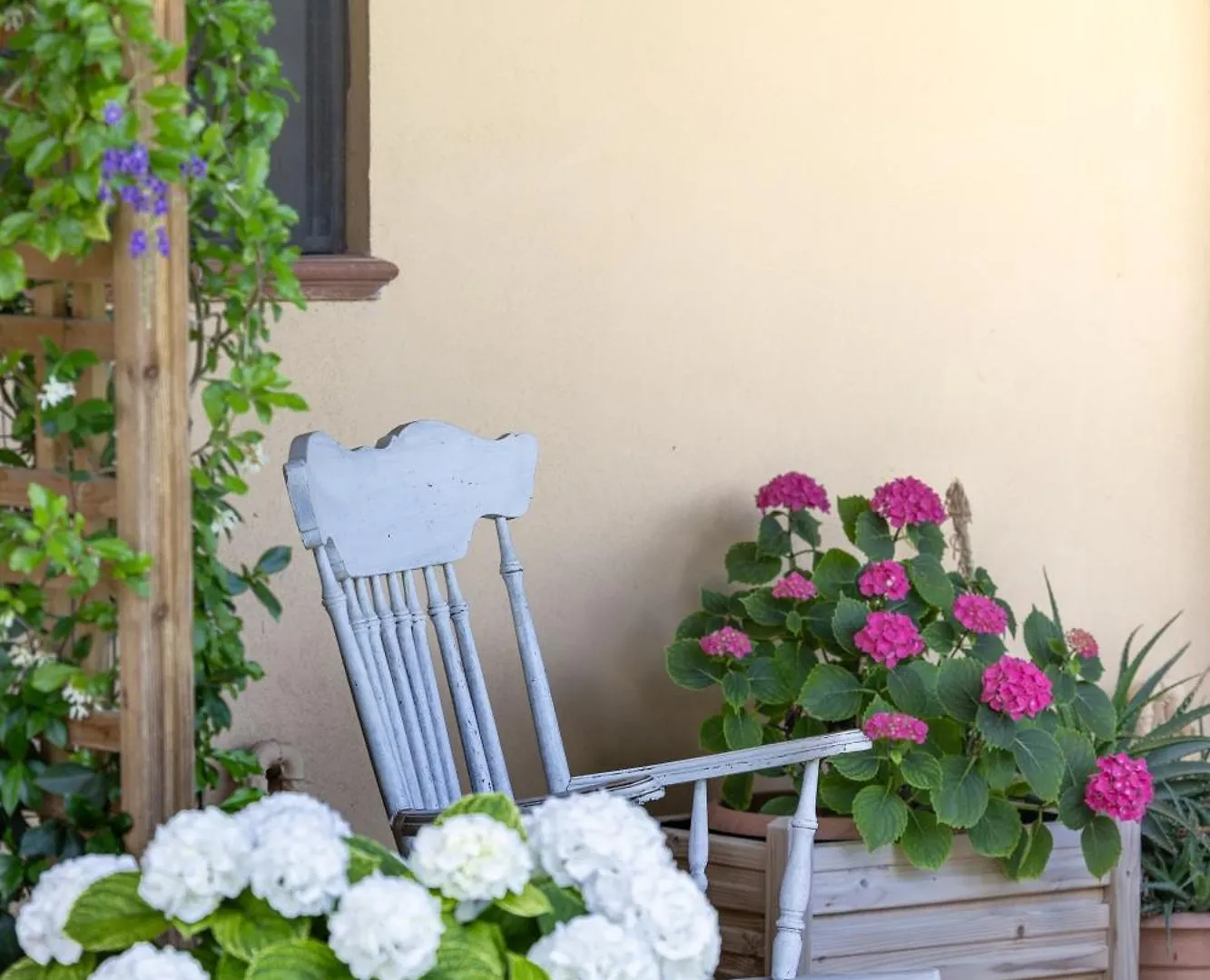Appartamento Agriturismo I Girasoli di Lari - Bilocale La Margherita Rivoli