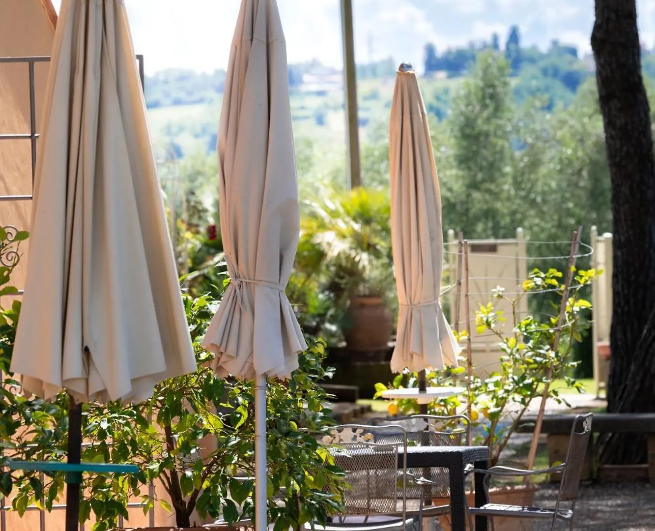 Agriturismo I Girasoli di Lari - Bilocale La Margherita Rivoli  Italia