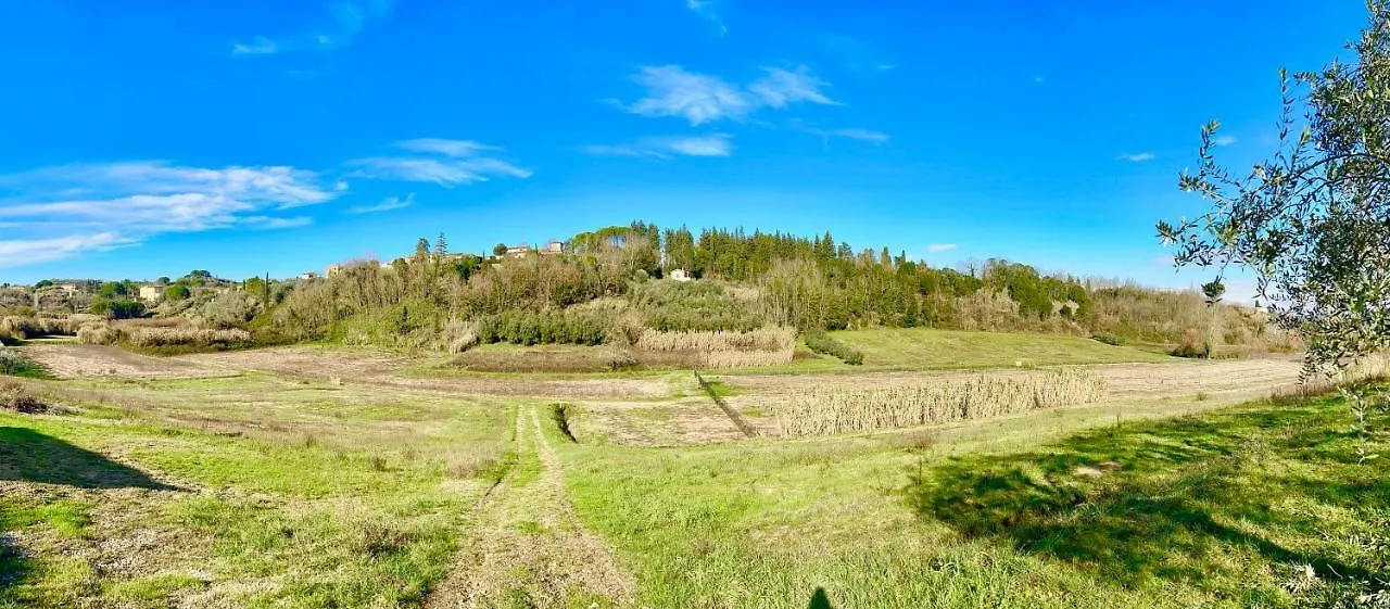 Apartment I Girasoli Di Lari - Bilocale La Margherita Rivoli